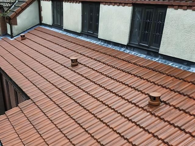 Roof Cleaning After Clean