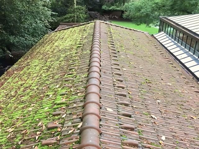 Roof Cleaning Before Cleaning