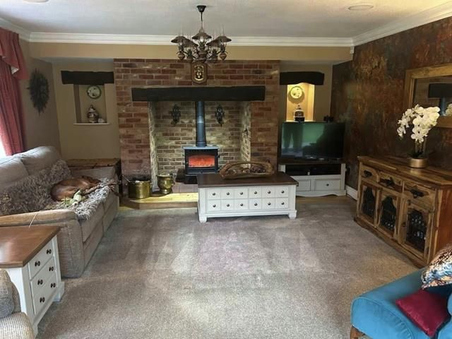 Carpet Cleaning